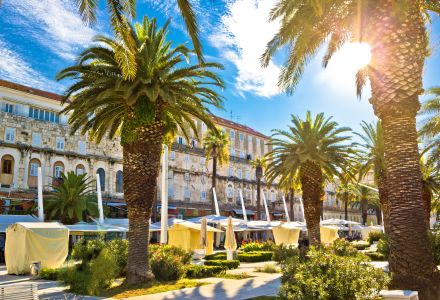 Split Main Waterfront Walkway Palms And Architecture