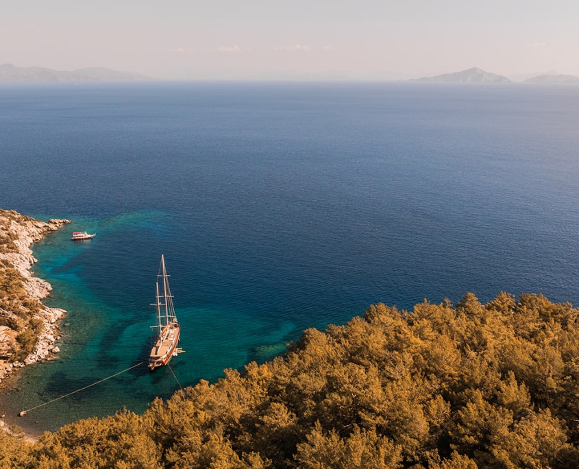 LA BELLA VITA Aerial view